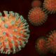 Coronavirus SARS-Cov-2