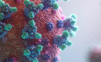 Variante delta del coronavirus