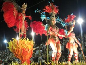 Festivales y carnavales más brillantes de Argentina