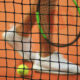 Tenis