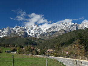 Picos de Europa