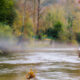 Río Sella
