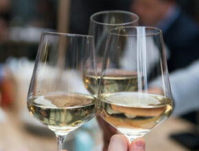 Vino