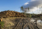 Privatización de recursos naturales