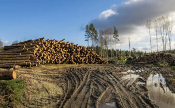 Privatización de recursos naturales