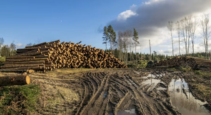 Privatización de recursos naturales