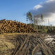 Privatización de recursos naturales